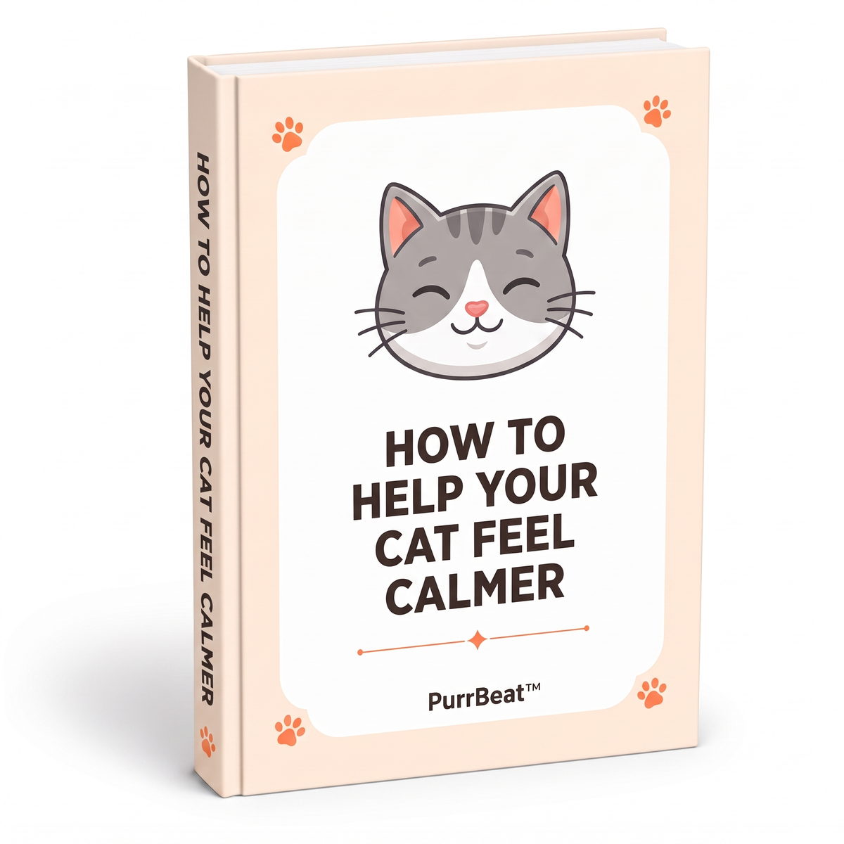 How to Help Your Cat Feel Calmer